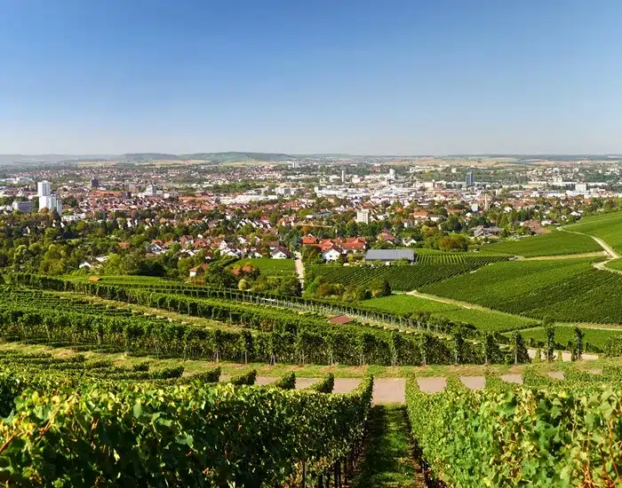 Kompetentes Umzugsunternehmen Heilbronn mit Know-how und Expertise
