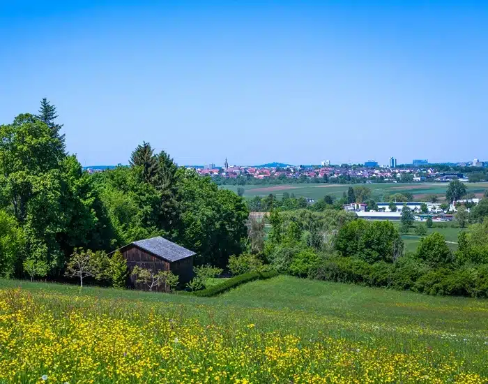 Erstklassiges Umzugsunternehmen Leinfelden-Echterdingen mit umfassendem Know-how
